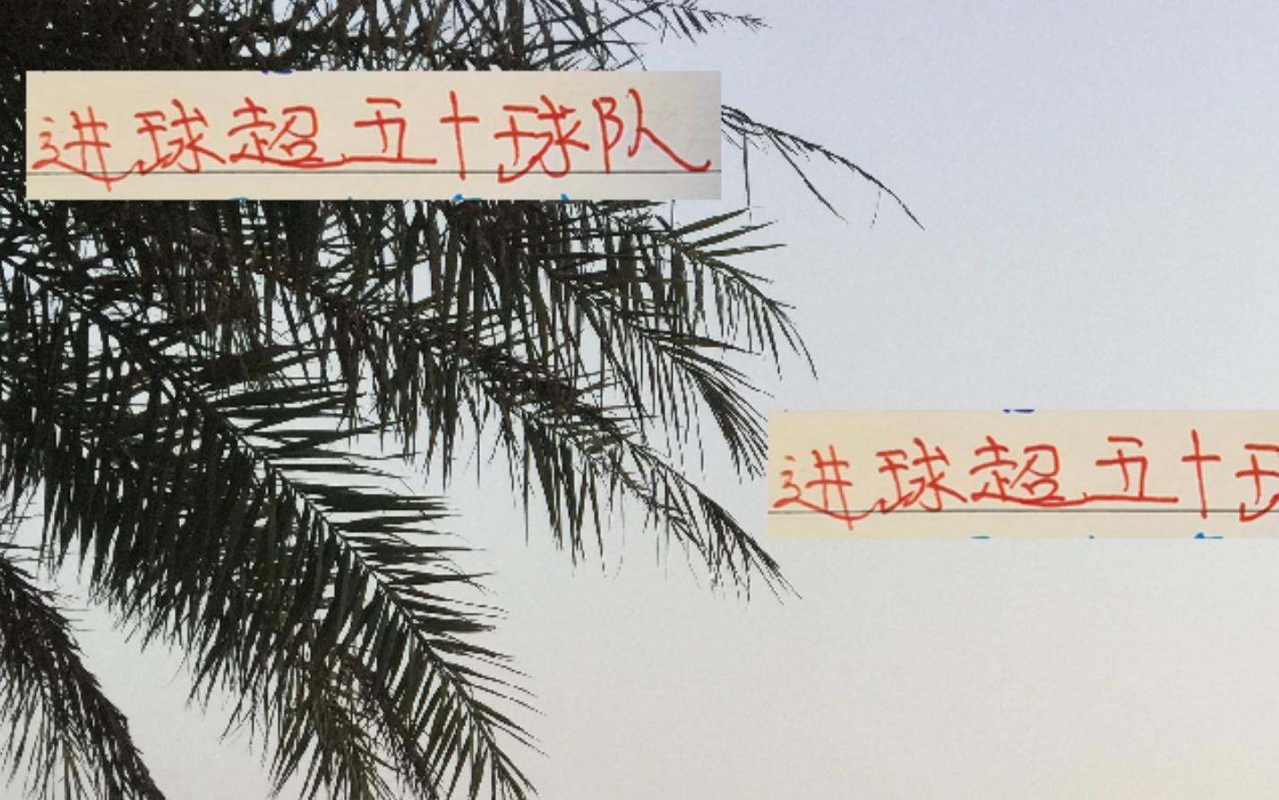 22輪下來只有兩球隊(duì)進(jìn)球超50分別是有萊昂海港有發(fā)飆北京國安