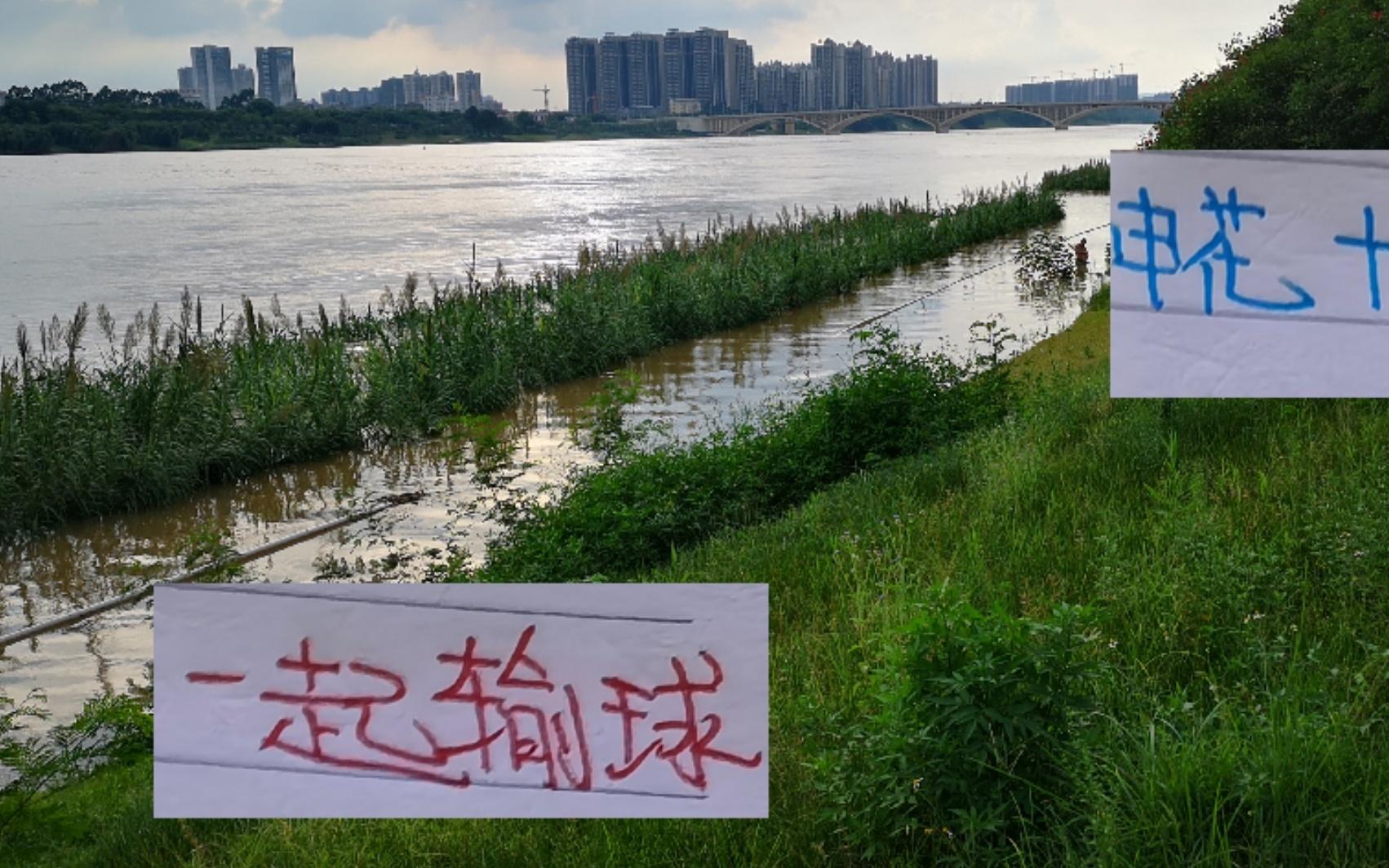 聯(lián)賽還剩七輪！申花要逆天改命主場(chǎng)打山東+成都要不輸球才行