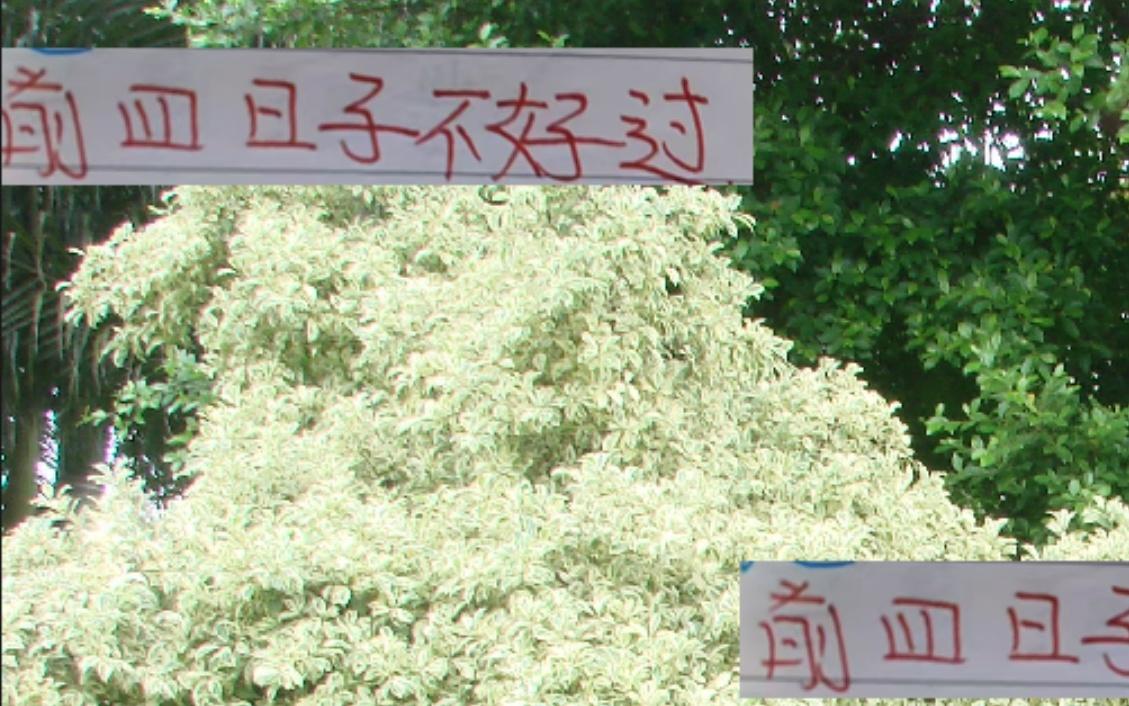 除榜首成都！前4日子都不好過申花名宿曹赟定直接銳評教練