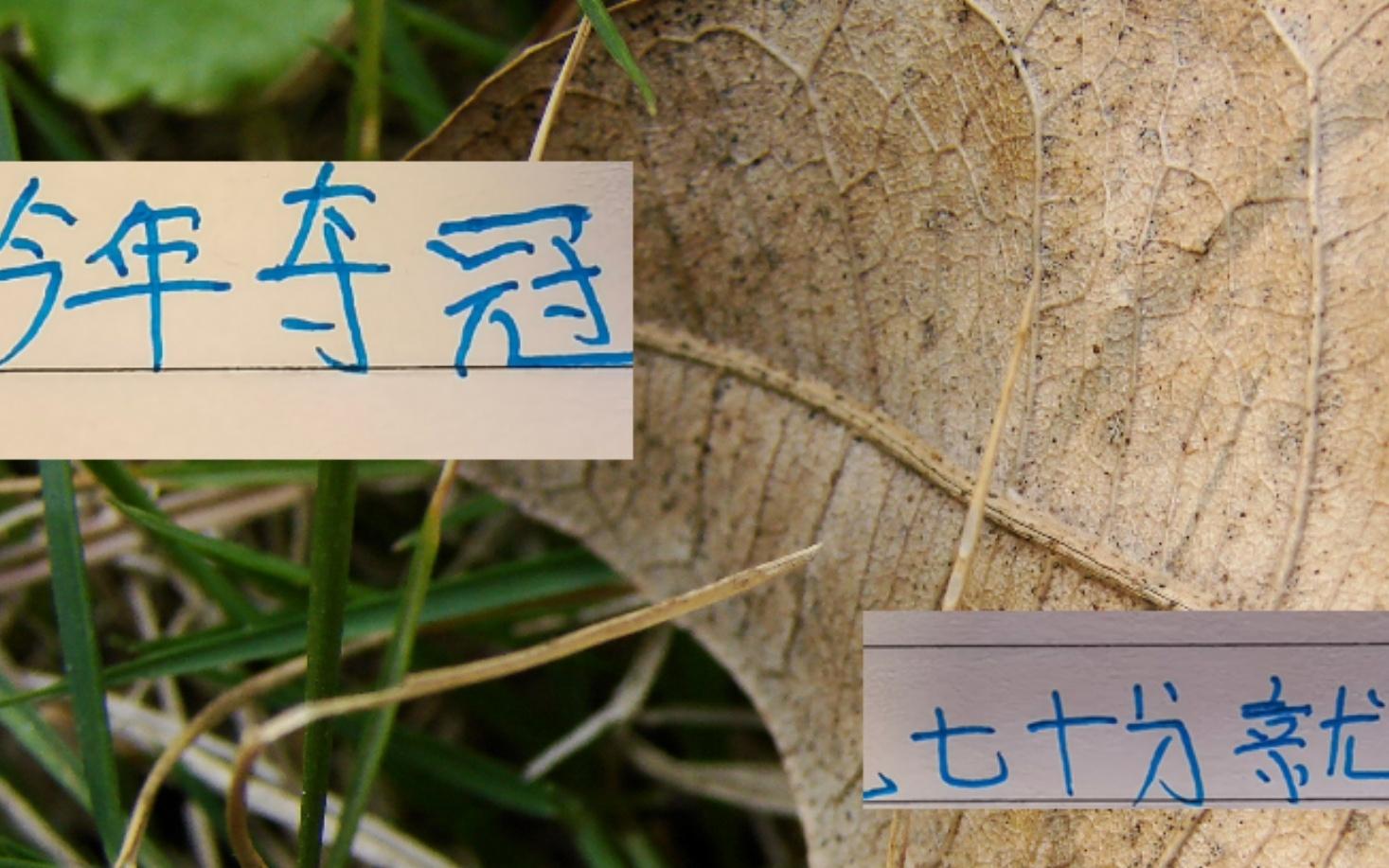 心痛去年申花一下！今年中超冠軍大概70分左右就可以！甚至更低