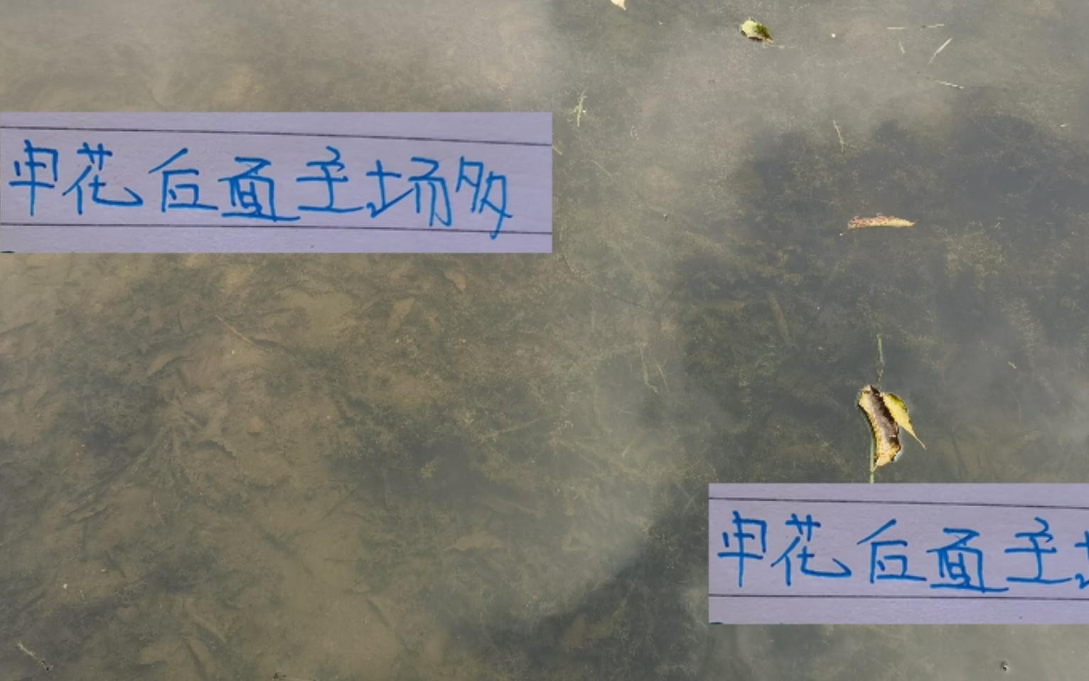 還剩下7輪！如果拼主場申花笑傲群雄就有5個奪冠能穩(wěn)嗎