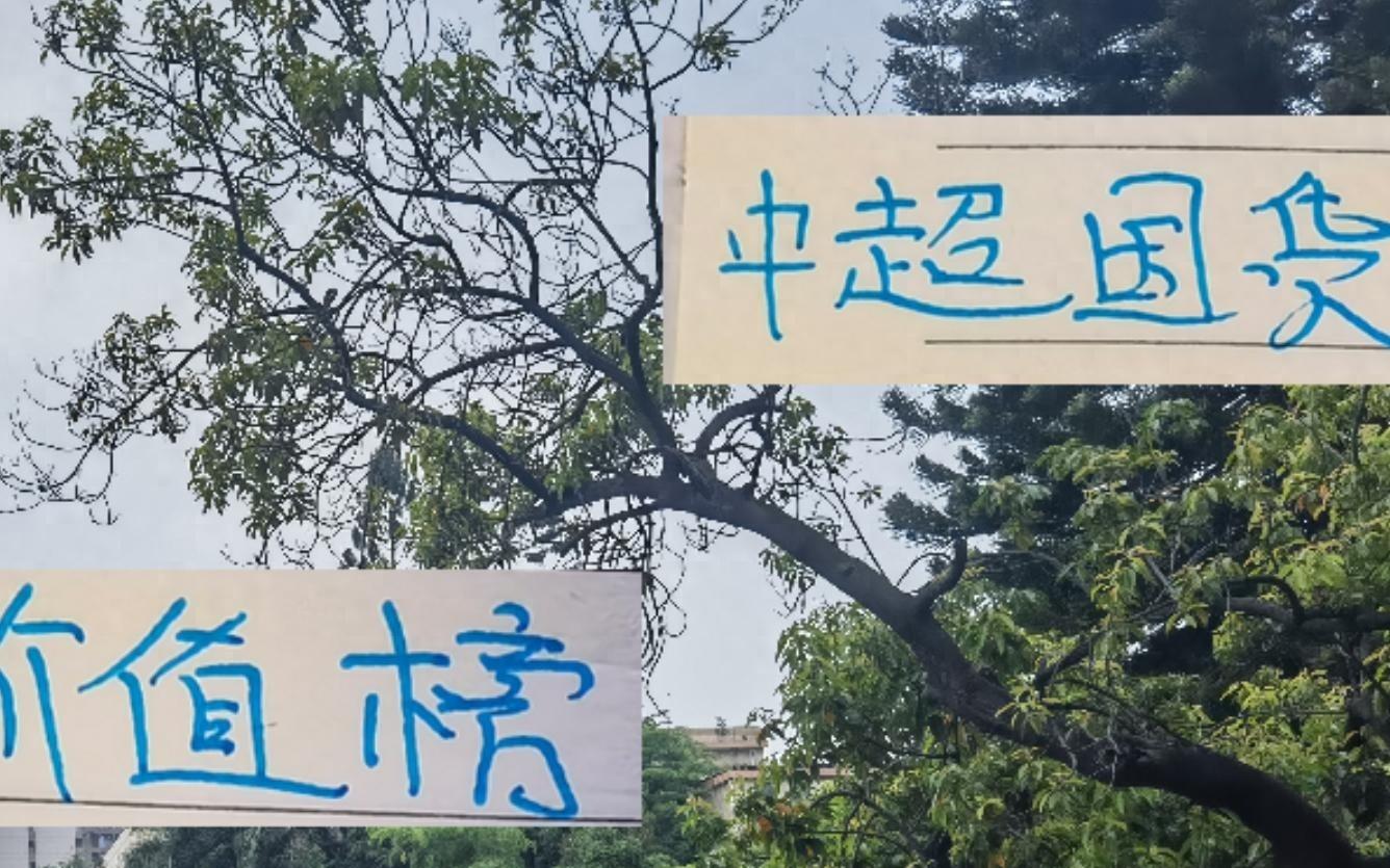 中超國(guó)貨最新價(jià)值榜申花球員蔣圣龍最貴海港的萊昂納多最值錢