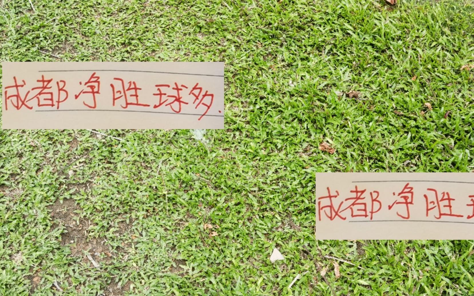 中超前4！成都蓉城進(jìn)球最少但凈勝球瑤瑤領(lǐng)先申花海港北京國(guó)安