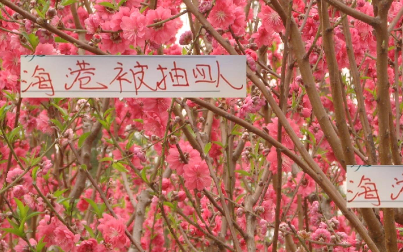 海港是9月被抽調(diào)最多前4俱樂(lè)部但跟鄰居不一樣他們靠外援而活
