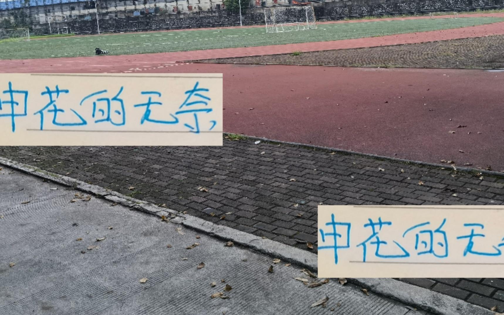 無奈！申花作為奪冠球隊沒想到會從領先6分老大變成差1分老二