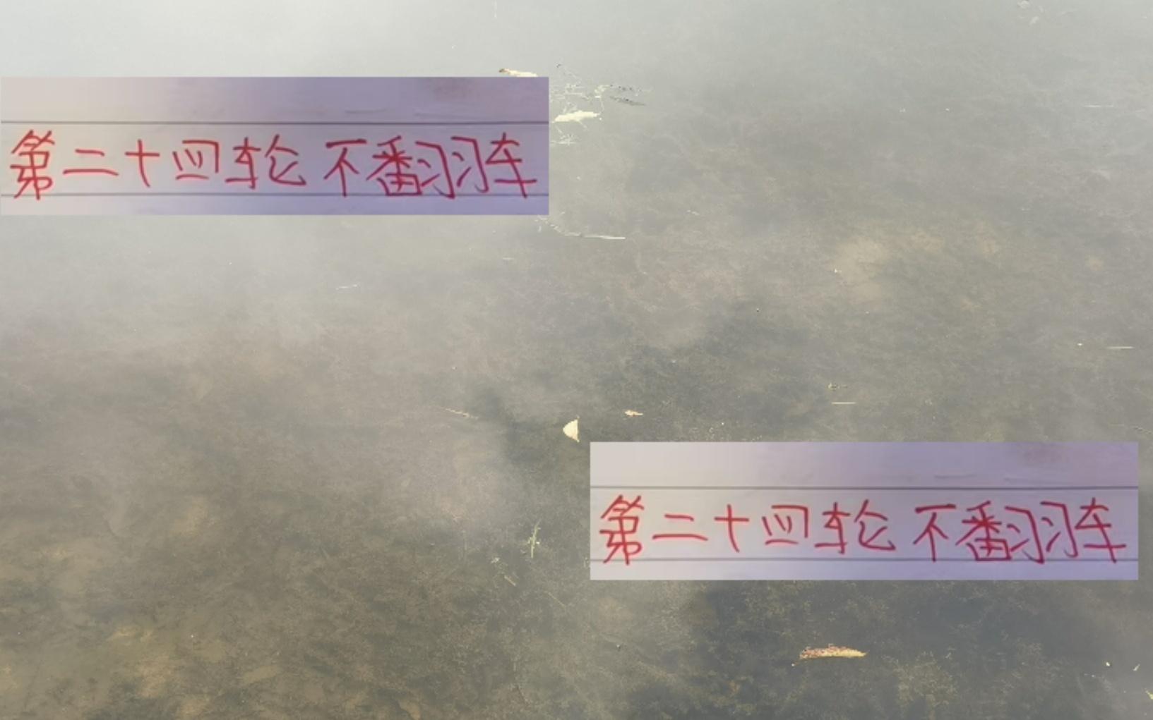 第24輪中超前4前瞻海港+成都是最不可能翻車