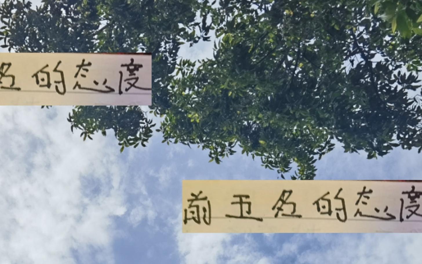 24輪前5名態(tài)度成都會(huì)全力以赴申花沒(méi)有容錯(cuò)空間海港先不想奪冠